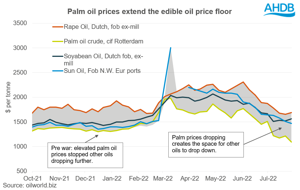 Palm oil prices extend the edible oil price floor